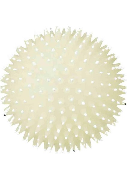 Köpek Oyun Topu Vinyl 10Cm