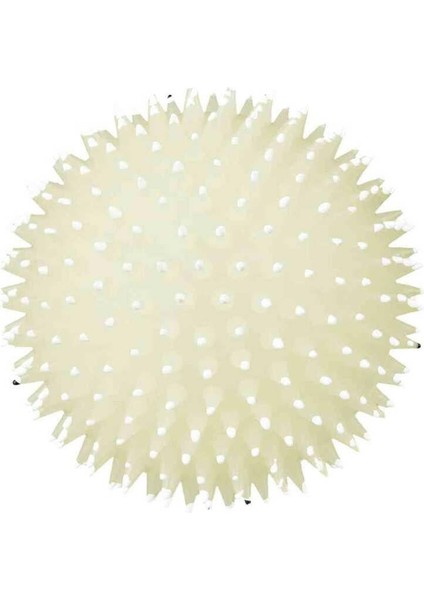 Köpek Oyun Topu Vinyl 10Cm fırsatları