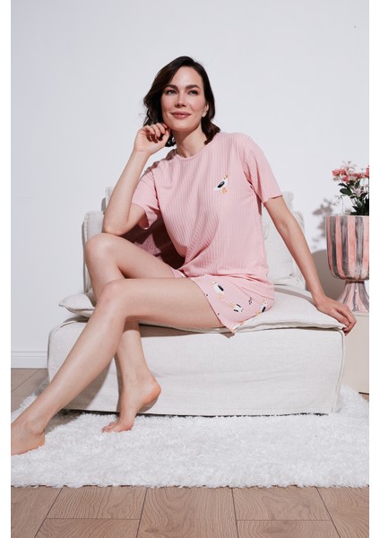 Regular Fit Kısa Kollu Şortlu Pijama Takımı Bayan Pijama Takımı 65740103