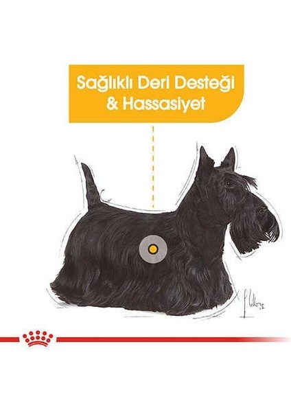 Royal Canin Mini Dermacomfort Pouch Konserve Köpek Maması 85 Gr