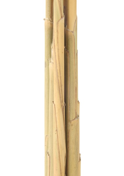 Deco Pampas Yapay Çiçek - Bej - 90X20 cm indirimleri