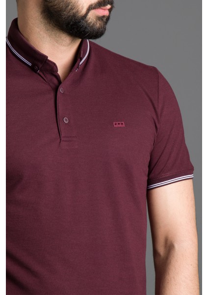 Erkek Mürdüm Basic Polo Yaka T-Shirt