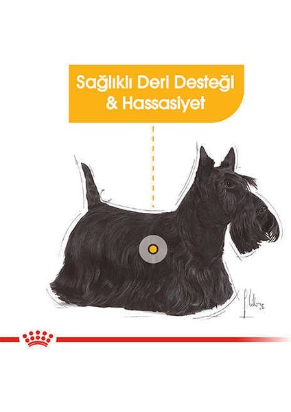 Mini Dermacomfort Yetişkin Köpek Maması 3 kg