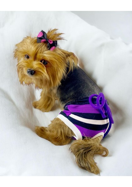 Modern Purp Kemique's Secret Köpek Iç Çamaşırı Regl Külot Don fırsatları