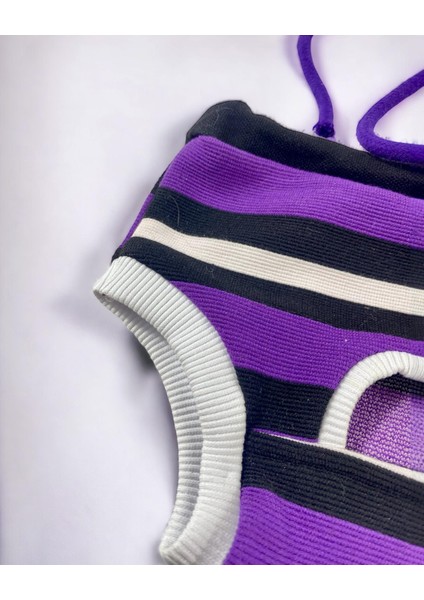 Modern Purp Kemique's Secret Köpek Iç Çamaşırı Regl Külot Don indirimleri