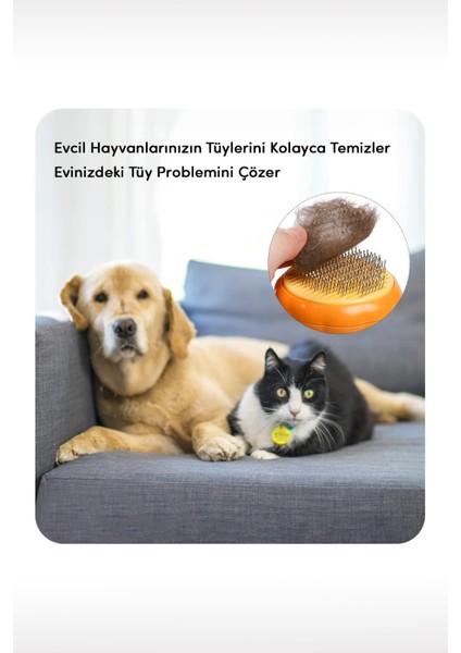 Bal Kabağı Tasarımlı Otomatik Temizlenen Tuşlu Evcil Hayvan Fırçası Kedi Köpek Tüy Toplayıcı Tarak