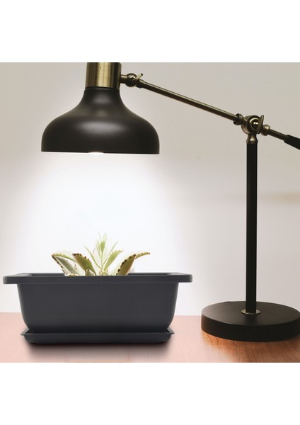 Parçalı Bonsai Saksıları-Bitkiler, Çiçekler, Otlar, Plastik Kare Saksılar Için Dahili Fileli Klasik Derin Islak Tepsi (Yurt Dışından)