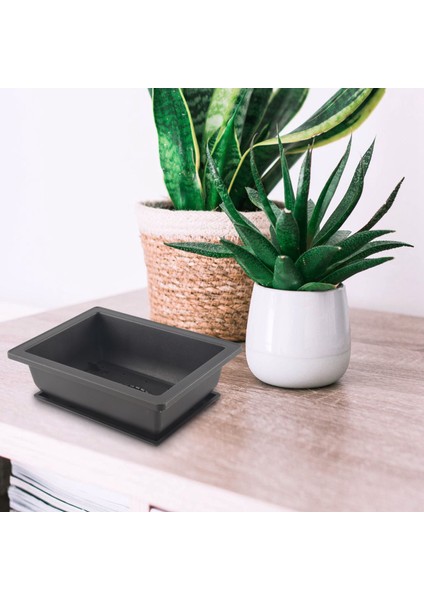 Parçalı Bonsai Saksıları-Bitkiler, Çiçekler, Otlar, Plastik Kare Saksılar Için Dahili Fileli Klasik Derin Islak Tepsi (Yurt Dışından)