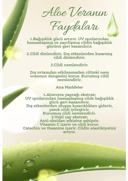 Aloe Vera Özlü Dinlendirici Jeli