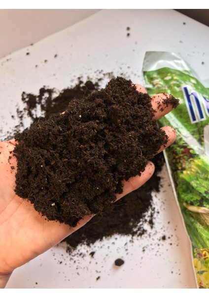 10 Litre Menekşe Torfu - Sphagnum Moss