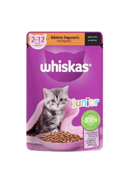 Pouch Sos Içinde Kümes Hayvanlı Yavru Kedi Konservesi 85GR