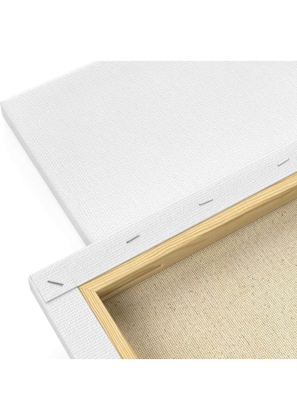 Tuval 30 x 30 cm 1 Adet fırsatları