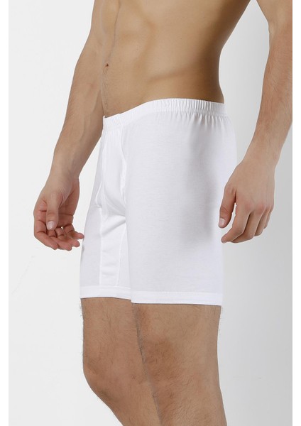 Doremi Erkek Arjantin Boxer