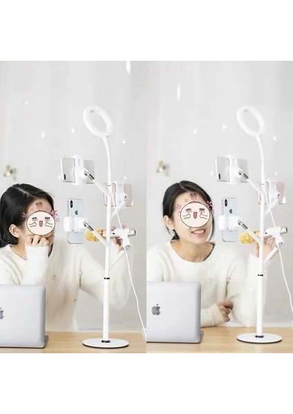 Professional Live Stream Işıklı Telefon Tutucu Ring Light fırsatları