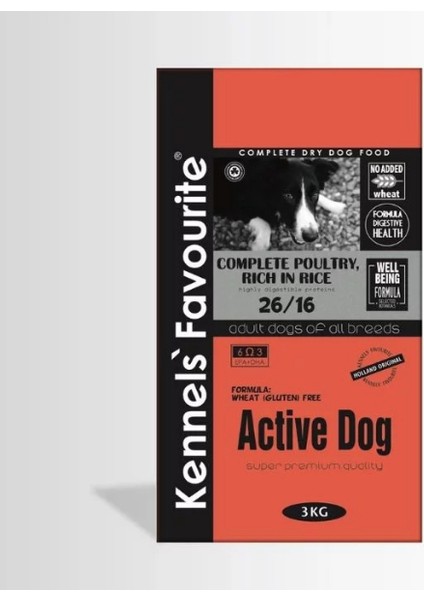 Active Dog Yetişkin Köpek Maması