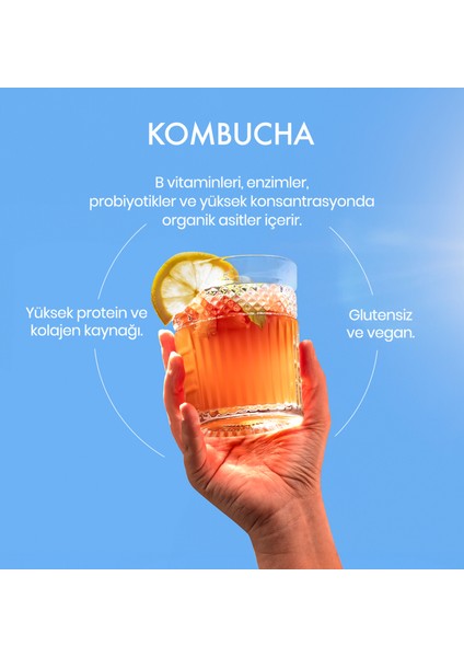 Fermente Mutfağım Organik Kombucha Çayı 500 ml