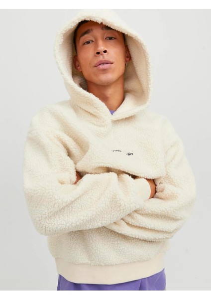 12249364 Teddy Pelus Kapusonlu Sweat modelleri