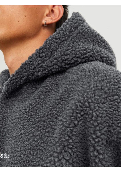 12249364 Teddy Pelus Kapusonlu Sweat