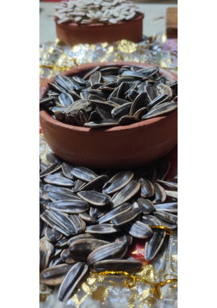 Siyah Tuzsuz Dakota Ay Çekirdeği Jumbo Boy modelleri