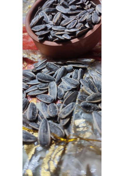 Siyah Tuzlu Dakota Ay Çekirdeği Jumbo Boy fiyatları