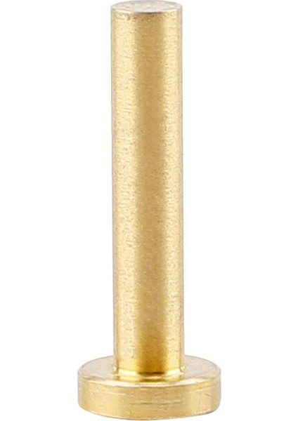 Pirinç Mil Ucu Ağııkları Golf Aksesuarları Ir Golf Mil Ucu Ağııkları (Yurt Dışından) fiyatları