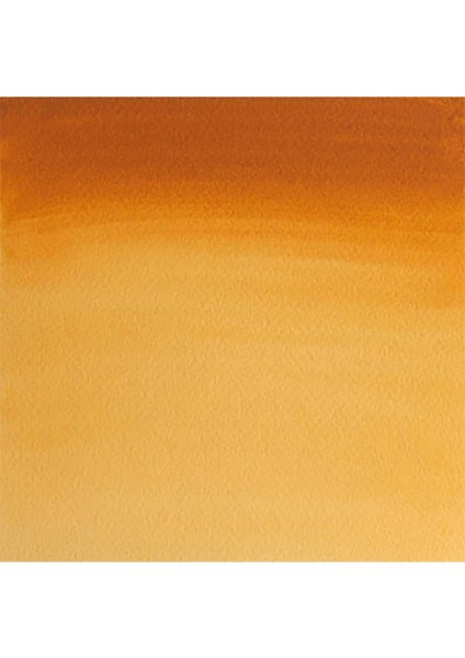 Professional Sulu Boya 5ml Gold Ochre 285 S.2 fiyatları