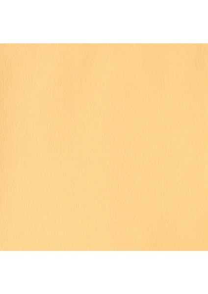 Designers Guaj Boya 14ML Naples Yellow 422 S.1 fiyatları