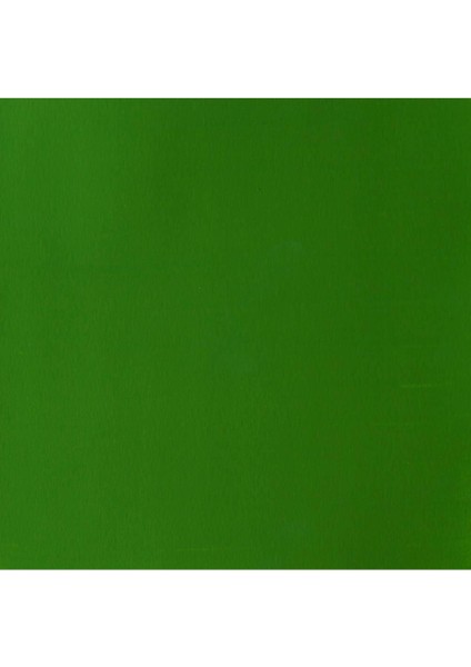 Designer's Gouache 14 ml Sap Green 599 S 2 fiyatları