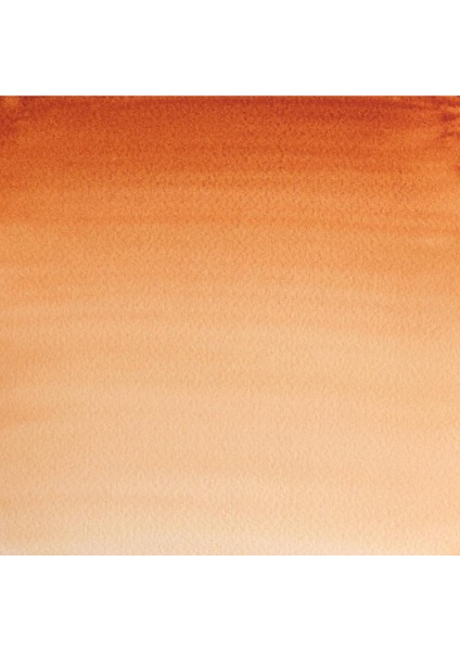 Professional Sulu Boya 5ml Burnt Sienna 074 S.1 fiyatları