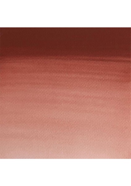 Professional Sulu Boya 5ml Indian Red 317 S.1