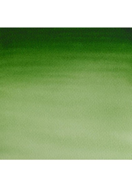 Sulu Boya 8ml Hooker’s Green Light 314 fiyatları