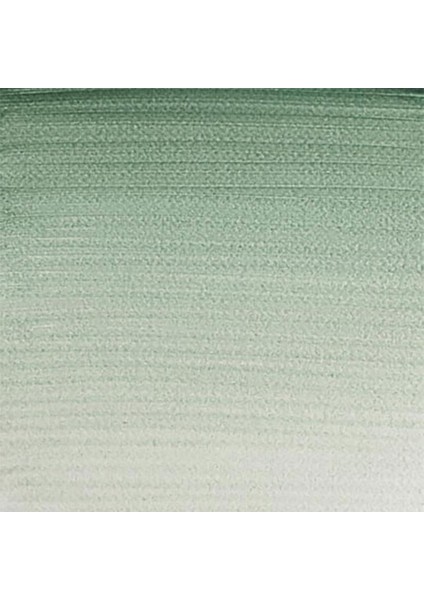 Professional Sulu Boya 5ml Terre Verte 637 S.1 fiyatları