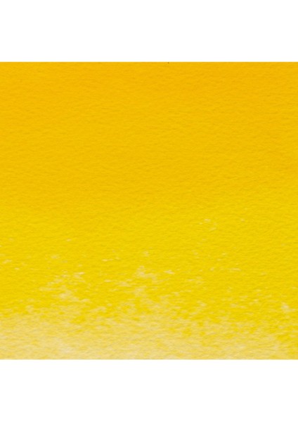 Professional Sulu Boya 5ml Cadmium-Free Yellow 890 S.4 fiyatları