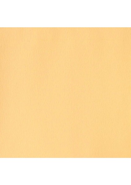 Designers Guaj Boya 14ML Naples Yellow 422 S.1 fiyatları