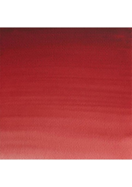 Professional Sulu Boya 5ml Perylene Maroon 507 S.3