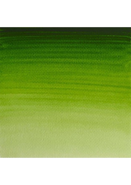 Professional Sulu Boya 5ml Permanent Sap Green 503 S.1