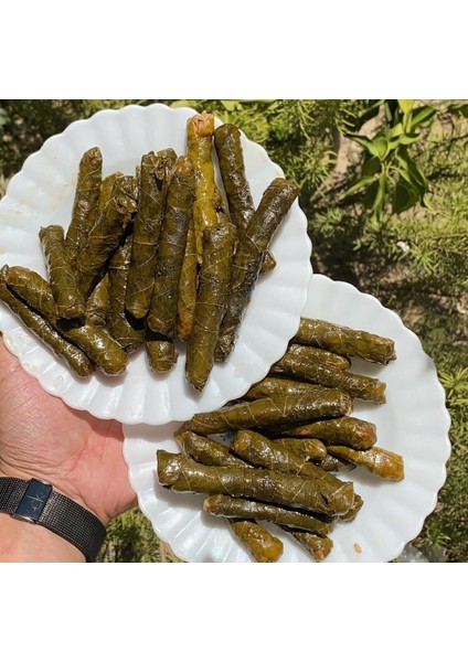 - Salamura Yaprak Manisa Uç Yaprak 3'lük Bidon