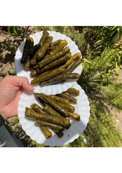 - Salamura Yaprak Manisa Uç Yaprak 3'lük Bidon