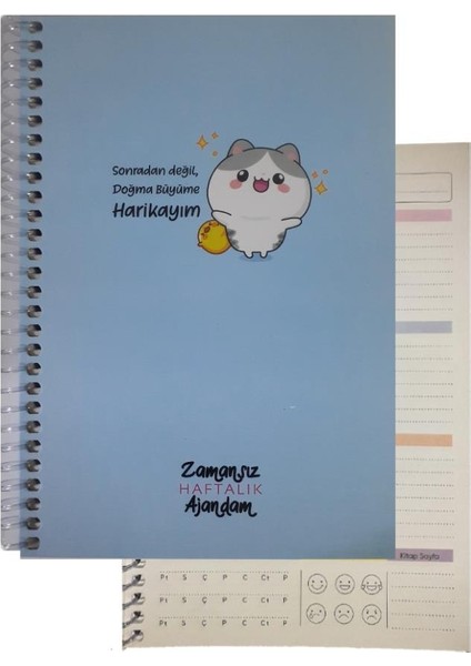 Zamansız Haftalık Ajandam 1 Adet Sert Kapak 120 Yaprak Zamansız Haftalık Planlayıcı Tarihsiz Ajanda Hediyelik Defter