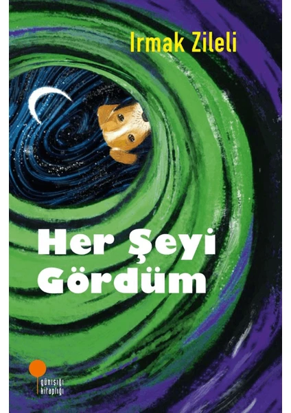 Her Şeyi Gördüm - Irmak Zileli