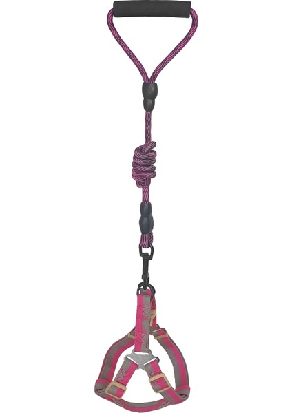 Köpek Göğüs Tasma Seti Dalga Desenli 2 cm 40 x 58 cm Mor Pembe