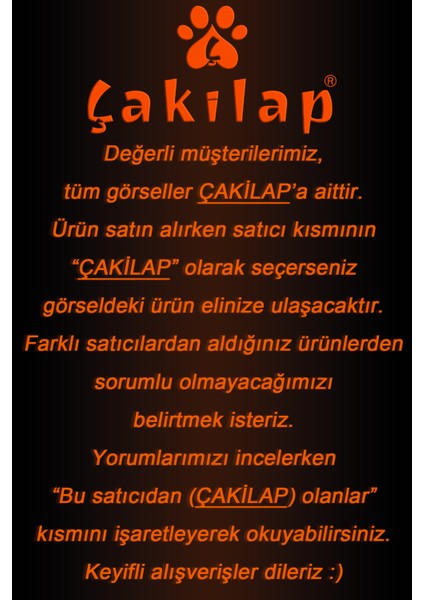 Çakılap Astronot Baskılı T-Shirt Unisex Premium Kalite (Rgl-Ast)