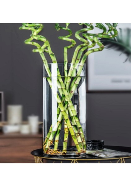 Silindir Cam Vazo Dekoratif El Imalati Orta 29X14 cm modelleri