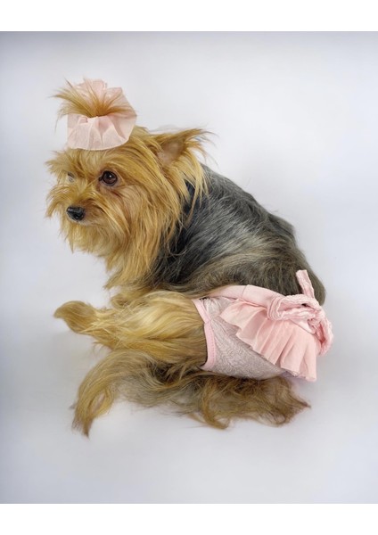 Rosie Rose Kemique's Secret Köpek Iç Çamaşırı Regl Külot Don