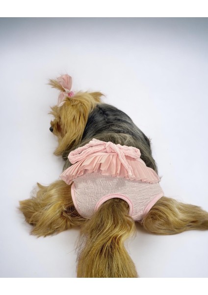 Rosie Rose Kemique's Secret Köpek Iç Çamaşırı Regl Külot Don fiyatları