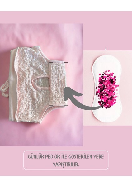 Rosie Rose Kemique's Secret Köpek Iç Çamaşırı Regl Külot Don fırsatları
