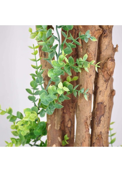 Paket Sahte Okaliptüs Çelenk, Sahte Okaliptüs Çelenk, 6ft/adet(Yeşil) (Yurt Dışından) fiyatları