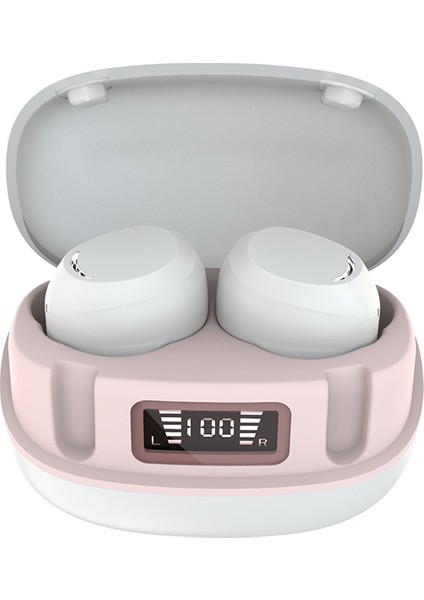 Kablosuz Bluetooth 5.0 Kulaklık Binaural Tws Bluetooth Kulaklık (Yurt Dışından)