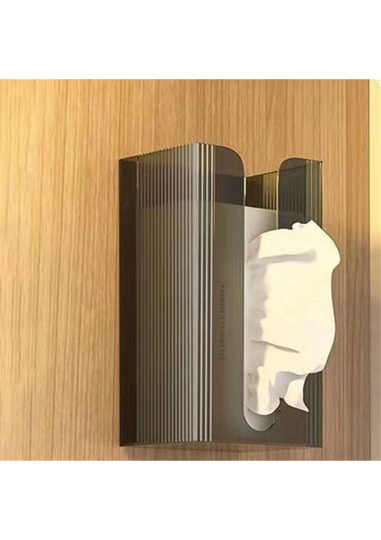 Yumruksuz Mendil Duvara Monte Kağıt Havlu Peçete Saklama Kutusu (Yurt Dışından) fırsatları