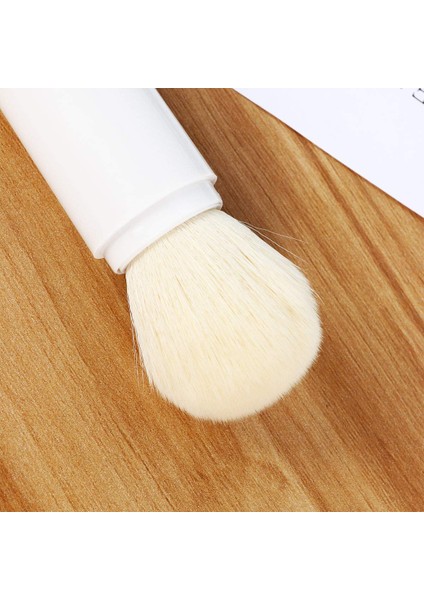 Fırça 4'ü 1 Arada Fırçalar Çift Kafa Makyaj Fırçaları Seyahat Günlük Seti (Yurt Dışından) fiyatları